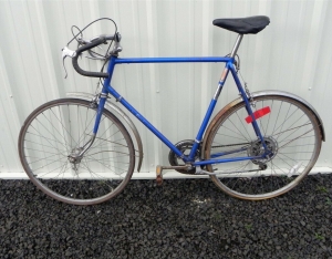 Vintage Araya Road Bike Don’t Know the Model Number Nice Shape Review