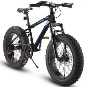 7-Speed Fat Tire Mountain Bike 20″ Bicycle Snow Bike Beach Bike for Teens&Adults Review