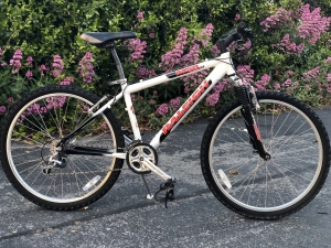 Raleigh M50 Mountain Bike Bicycle Made In USA Review