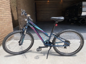 Specialized Hotrock 20″ Girls Bike Youth Kids Bicycle – Barely Used! Review
