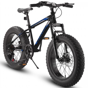 20″ Mountain Bike 7 Speeds Fat Tire Snow Bicycle MTB Dual Disc Brake Suspension Review