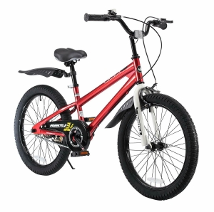 Royalbaby Free style Bike 20 inch Kid’s Bicycle with Two Hand Brakes Review