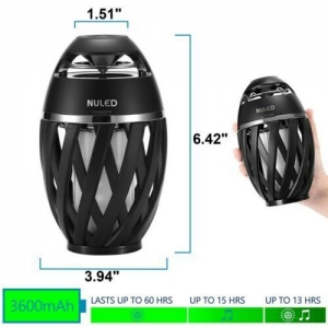 LED Flame Speakers,Tiki Torch Bluetooth Speakers w. Flickering Flame (1 Pcs) Review