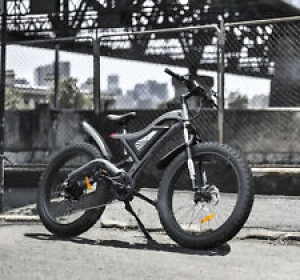 Ebike 26″750W 48V/15A Electric Bike Mountain Bicycle Fat Tire All terrain E-bike Review