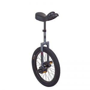 UNICYCLE SUN Bicycles 20in EXTREME GREY Review
