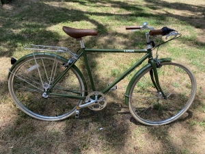 Linus Roadster 3i 3 Speed Bicycle Excellent Condition Review