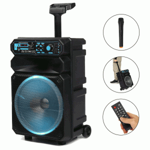 Wireless Portable Speaker FM bluetooth Speakers System w/Mic & Remote Controll Review