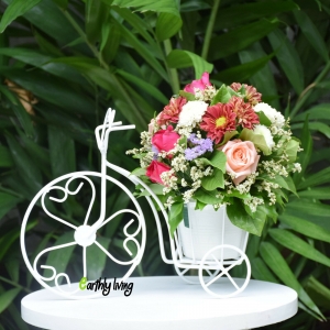 Bicycle Tricycle Wire Iron Flower Arrangement Decorate Idea Planter Vase Stand  Review