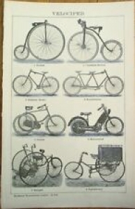 Motorcycle, Tandem Bicycle & Tricycle 1900 Print / Bookplate Review
