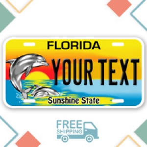 PERSONALIZED Florida License Plate Dolphin Review