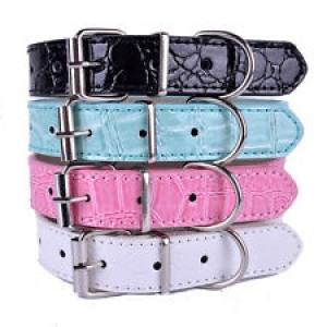Fashion Croc Leather Dog Collar Buckle Collars For Dogs Small Pet Supplies 2SIZE Review