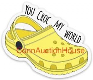 VSCO Crocs “You Croc My World” Sticker Hydro Laptop Water Bottle Yellow Review