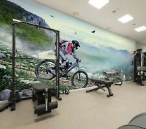 3D Bicycle Stone KEP808 Wallpaper Mural Self-adhesive Removable Sticker Bea Review