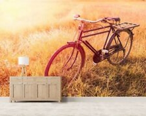 3D Bicycle Grass G447 Transport Wallpaper Mural Self-adhesive Removable Wendy Review