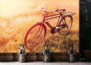 3D Nostalgic Bicycle O860 Transport Wallpaper Mural Self-adhesive Removable Amy Review