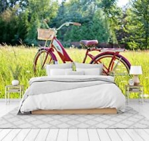 3D Green Grass Bicycle A64 Transport Wallpaper Mural Self-adhesive Removable Zoe Review