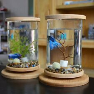 Bamboo Base Fish Tank Aquarium Accessories Mini Fish Tank Home Decoration Glass Review