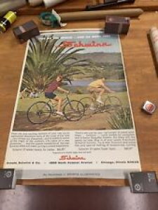 Schwinn Bicycle Poster Review